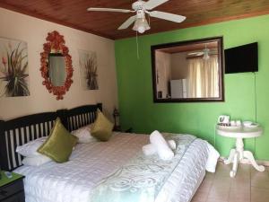 Aloe Tree Guest House