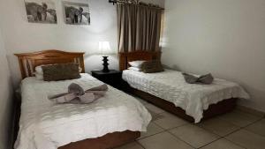 Aloe Tree Guest House