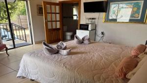 Aloe Tree Guest House