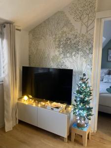 Appartements Le Belvedere Alsacien : photos des chambres