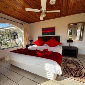 Aloe Tree Guest House