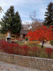 Ξενώνας Το Πατρικό