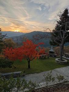 Ξενώνας Το Πατρικό