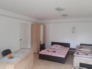 Pensiunea Casa Lircă