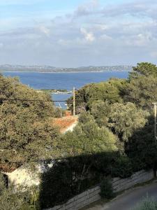 Appartements Appartement Vue Mer Porto-Vecchio : photos des chambres