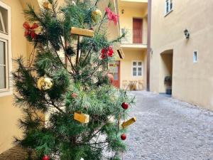 Old Town Prague Apartment