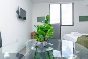 Central 1BR in Miami with King Bed Near Wynwood and Marlins Park