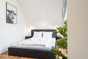 Dom Czarna Owca - widok na góry, sauna