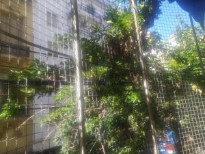 Departamento con balcon al frente 5 ambientes y jardin