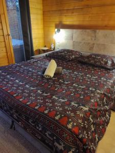 Appartements Escapade sous les pins 20m2 : photos des chambres
