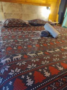 Appartements Escapade sous les pins 20m2 : photos des chambres