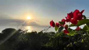 Wagawimbi Villa 560 m2, Breathtaking View of the Indian Ocean, Kenya