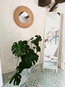 Villas Haute Casussine : photos des chambres