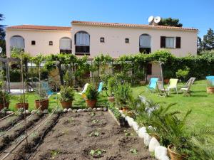 Hotels Hotel Punta e Mare des Chambres ou des Appartements T2 : photos des chambres