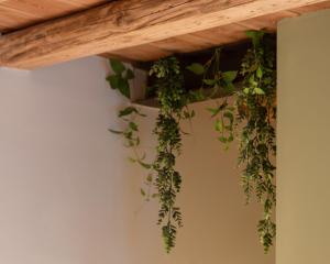 BACARìA BED&BREAKFAST