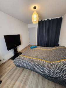 Appart tout confort & équipé TT