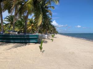 All Seasons Belize