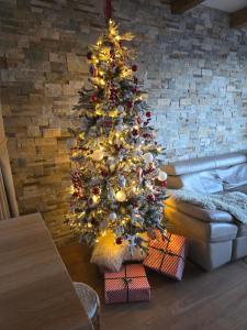 Chalet Rebeca 6 beds Donovaly