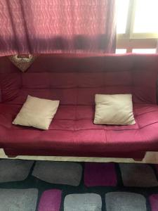 الشقق العائليه بالنادى الاهلى مدينه نصر