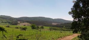 Dargle Camping & Caravan Site