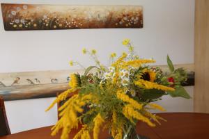 Domki na Kaszubach - nad jeziorem z balią i sauną