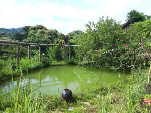 PuBinSpiceHills Farmstay