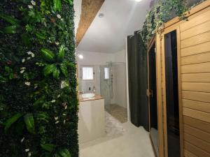 Appartements La Galatee, Balneo et Sauna privatifs : photos des chambres