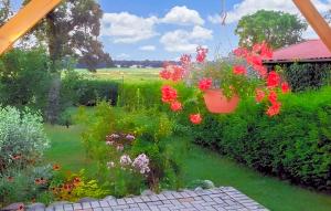 Ferienwohnung Krümmel