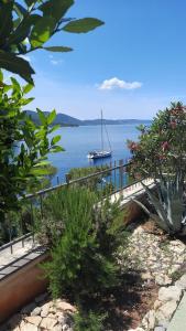 Vila Hera Korčula, Special one, pool, right on the sea,parking, 8 people