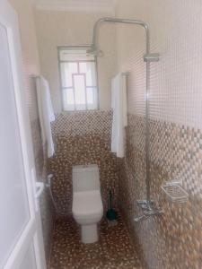 Mkomazi Hotels and Camps