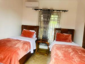 Mkomazi Hotels and Camps