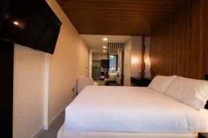 Lujoso Estudio en la Carolina - Hacienda Carolina