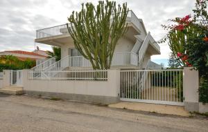 Pet Friendly Apartment