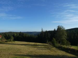 Naturapartment SCHWARZWALDSEELE Kniebis