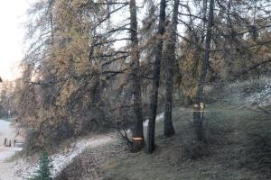 Résidence Les Flocons - STUDIO N° 110 LES FLOCONS MAE-0921