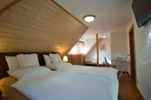 Nachhaltige, veganfreundliche Unterkunft direkt am Bergbaulehrpfad in Schneeberg - Hartmannsdorf