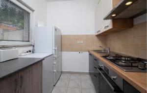 Stunning Apartment In Peroj With Wifi 