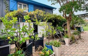 Beautiful Home In La Teste-De-Buch