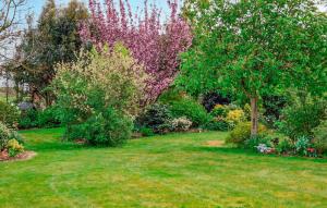 Maisons de vacances Cozy Home In Bolleville With Wifi : photos des chambres