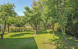 Ferienhaus Bartelshagen Ii