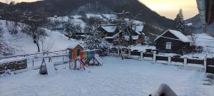 Cabana Valea Sadului