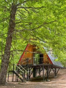 Casa del Árbol - Malalcahuello