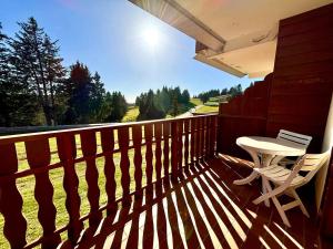 Studio skis aux pieds avec balcon et animaux admis - FR-1-432-89