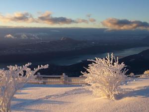 Appartements Studio skis aux pieds avec balcon et animaux admis - FR-1-432-89 : photos des chambres