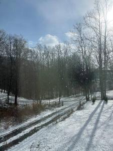 Seneca Cabin - New Updates - Fun Getaway!