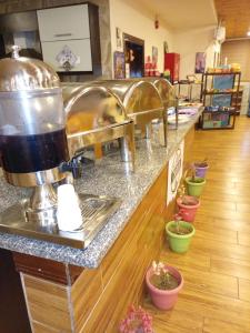 Petra voyager Hostel