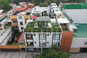 Coyoacan Fridas Favorite Loft