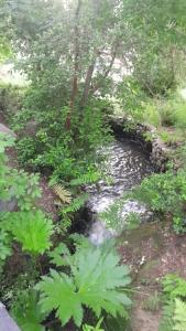 Alta Vista Pucon Centro