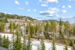 Mountain Thunder Bluebird Condo: Ski In, Top-Floor w Views, Resort Amenities