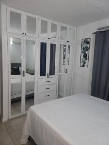 Cozy Apartment in Kingston, Jamaica